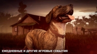 скриншот 5