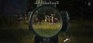 скриншот 2